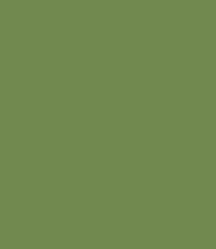 Sfondo verde Sfondo verde