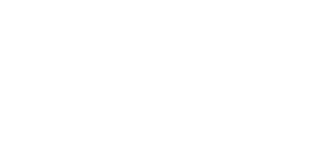 fossil logo