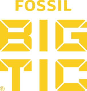 Fossil Big Tic logo