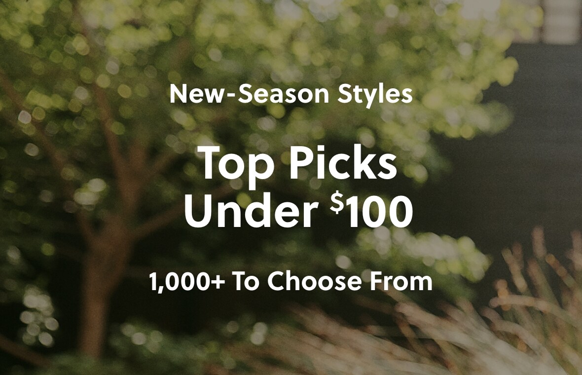 Top Picks Under $100