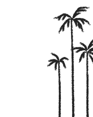 Palmeras