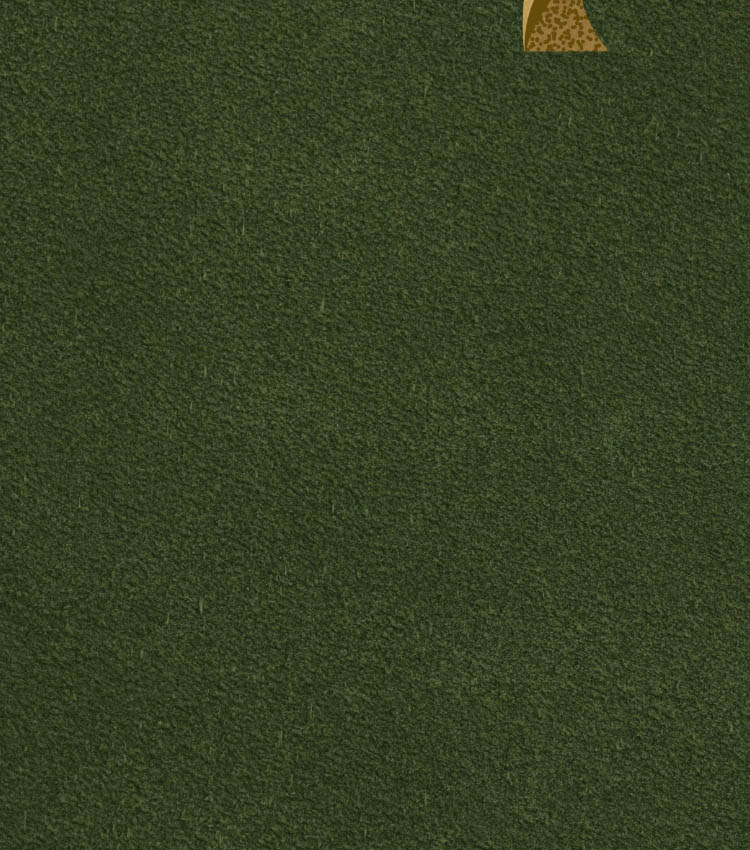 Green backdrop.