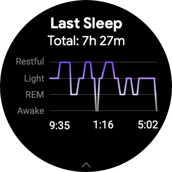Sleep insights dial showing sleep patterns.
