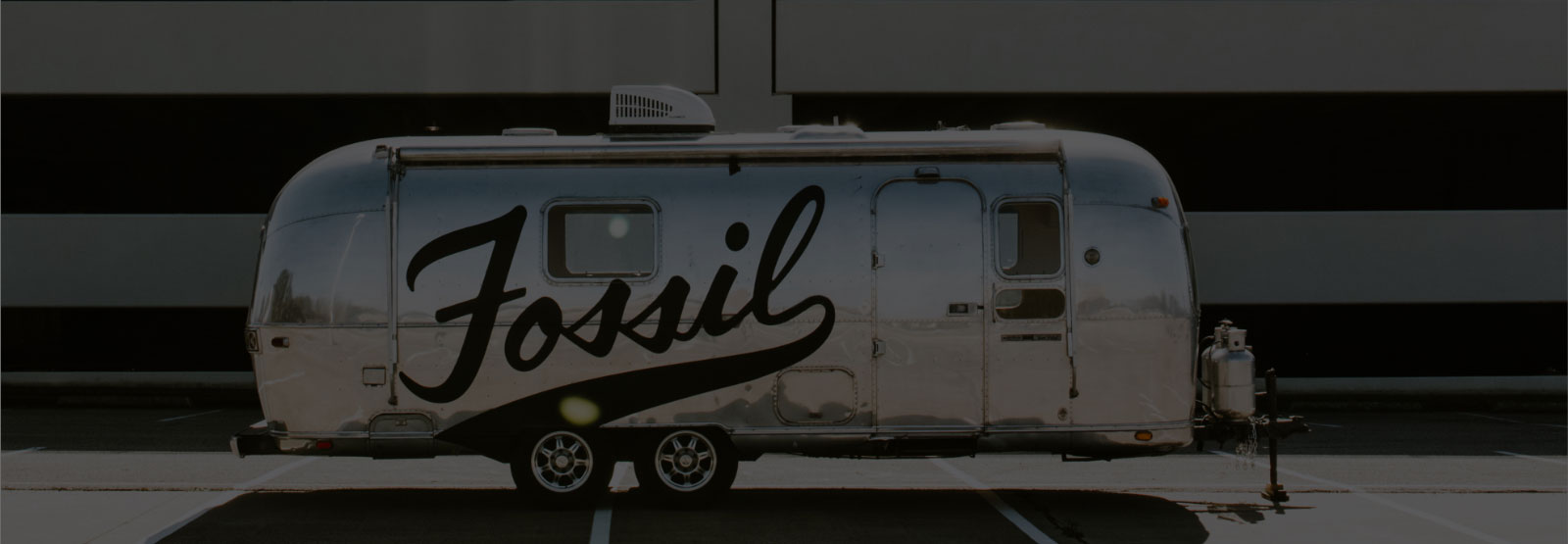 Collectors Club - Fossil