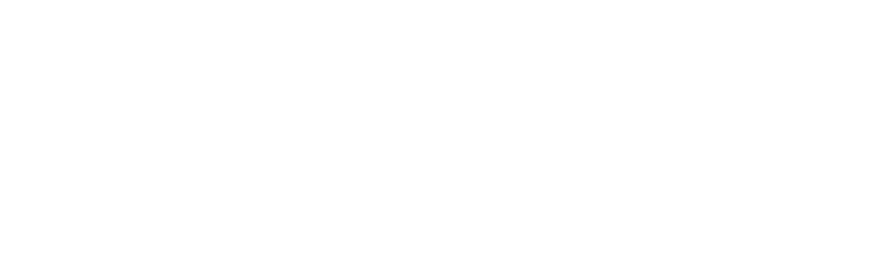 THE FLASH LOGO