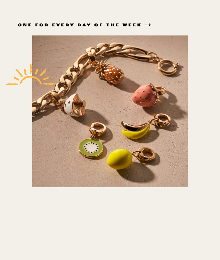 Womens bracelet charms.
