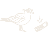 鳥のスケッチ。