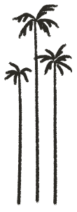 Decorative palm tree illustration.