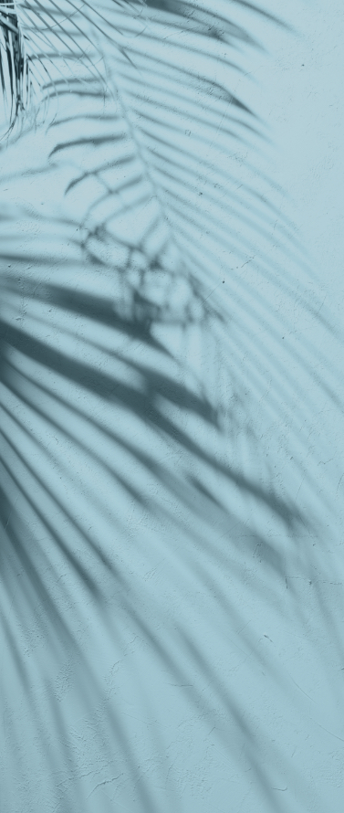 decorated background with the shadows of palm trees
