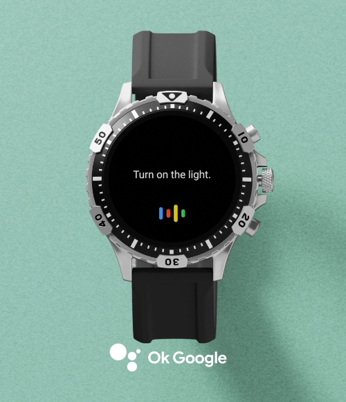 ok google fossil