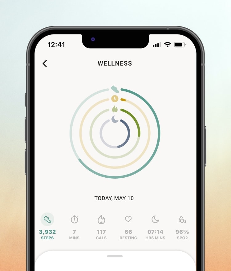 Silhouette of a smartphone showing the wellness stats at a glance in the app.