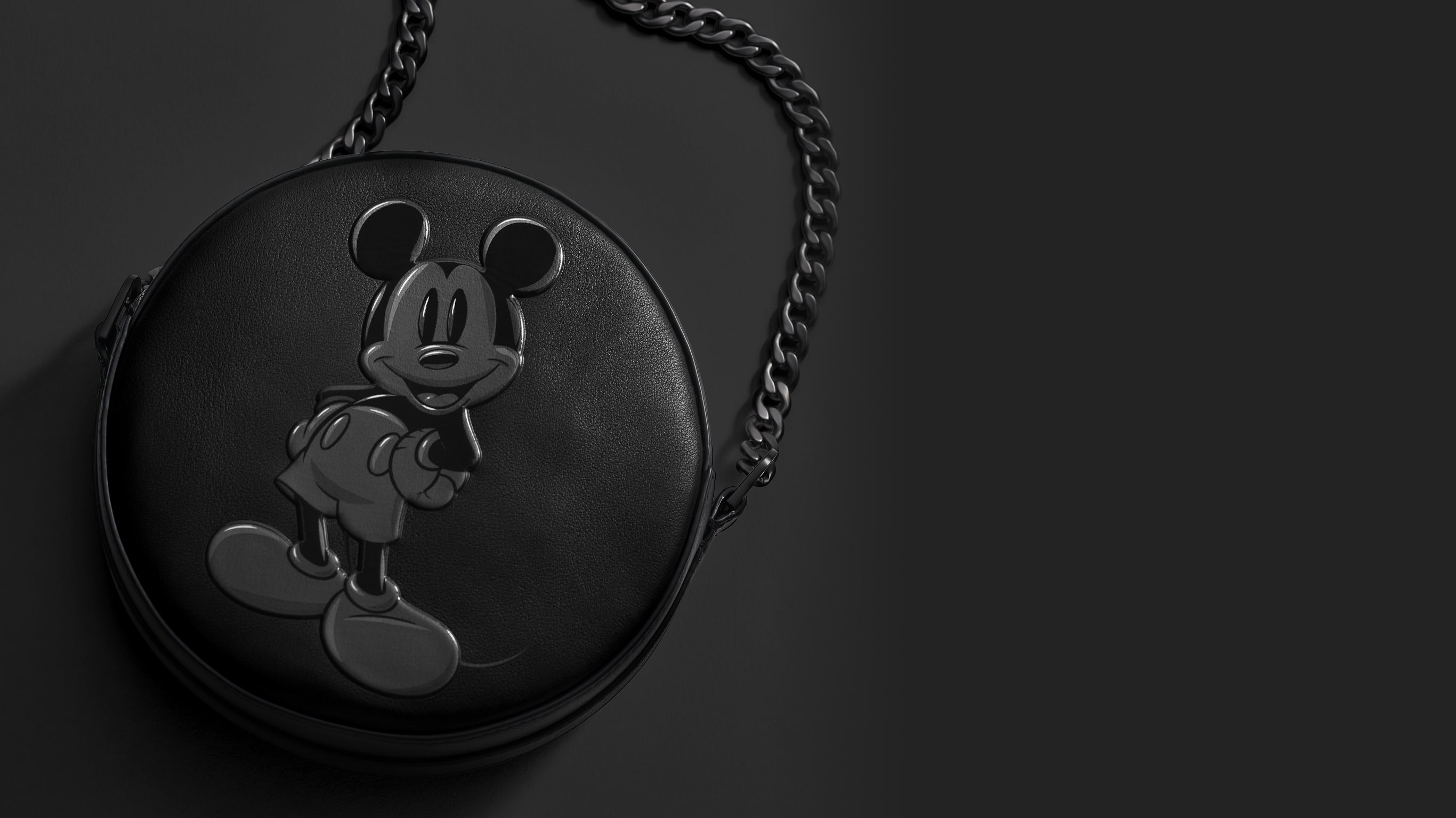 Disney Fossil スペシャルエディション パスポートケース