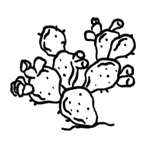 A cactus graphic.