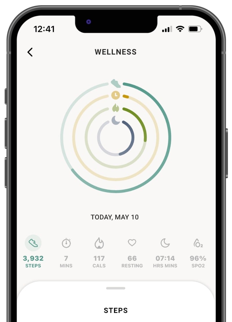 Silhouette rendering of a smartphone with the wellness stats screen pictured.