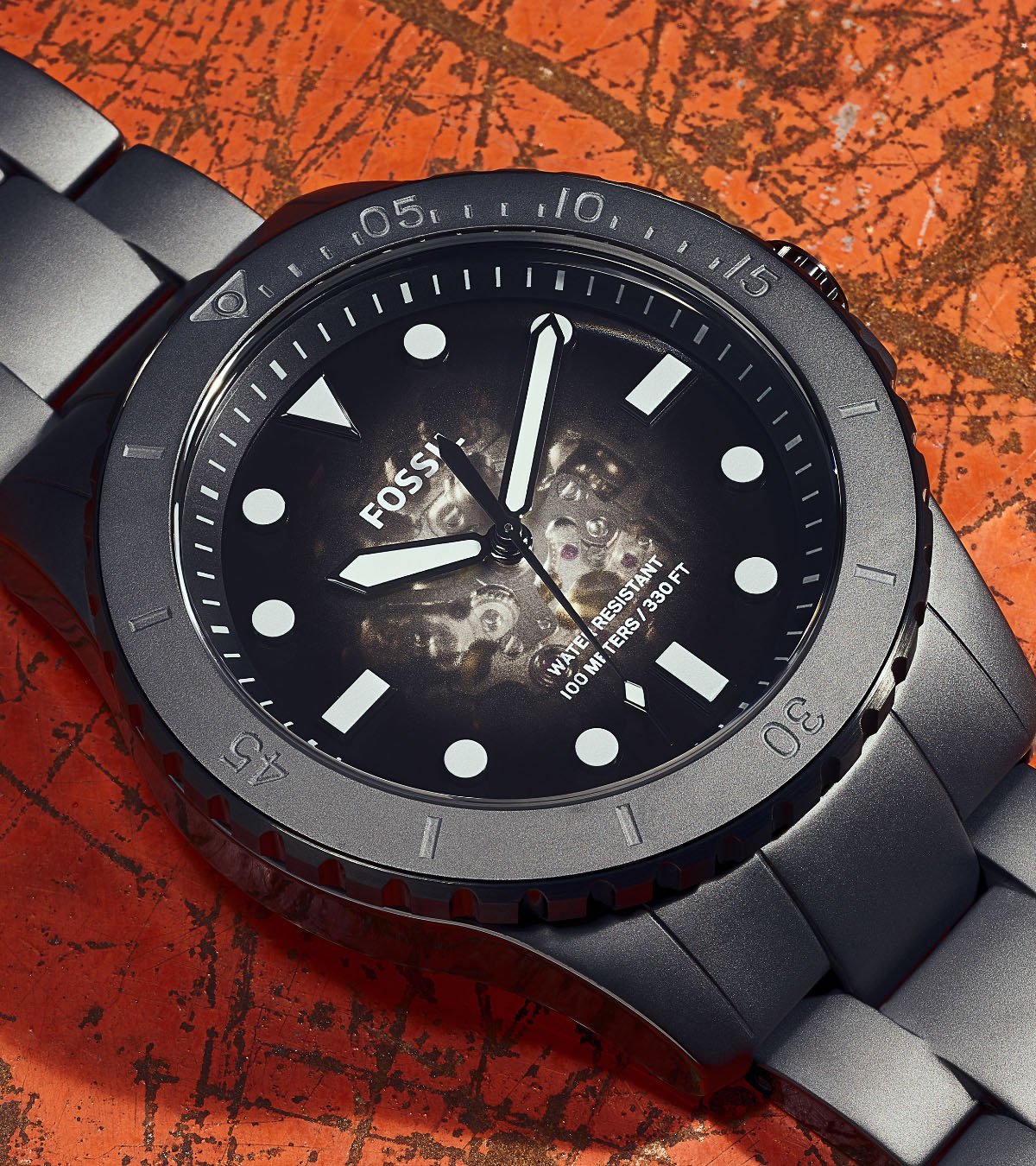 Collectors Club - Fossil