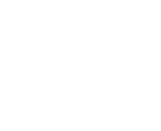 Disney | Fossil Logo.