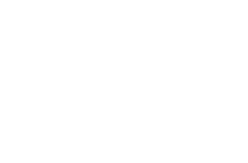 THE FLASH™ x FOSSIL