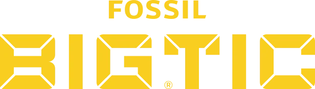 Big Tic logo.