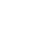 case icon