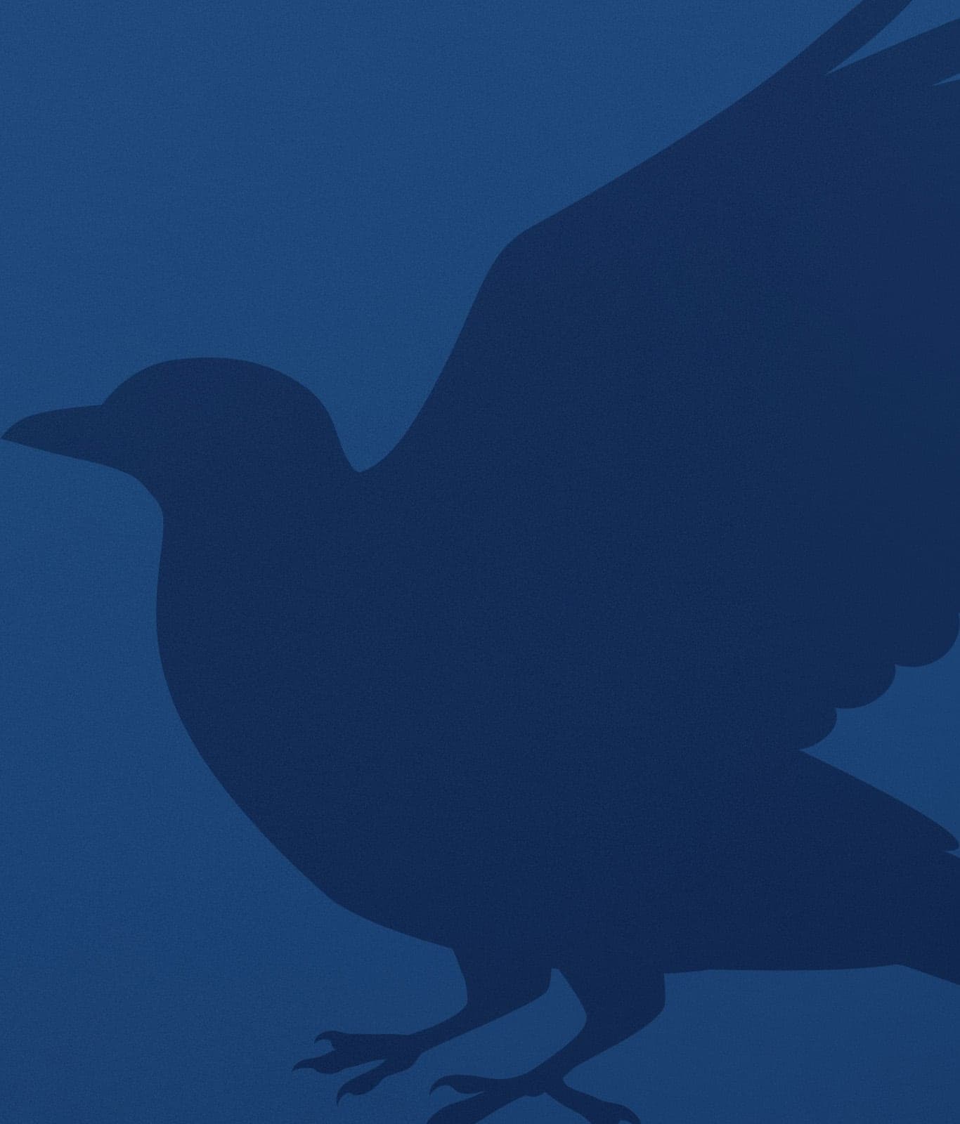 Il corvo di Corvonero su uno sfondo blu.