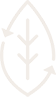 leaf graphic
