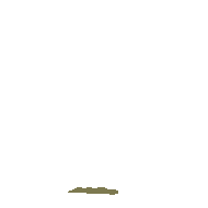 Animación GIF de cactus creciendo.