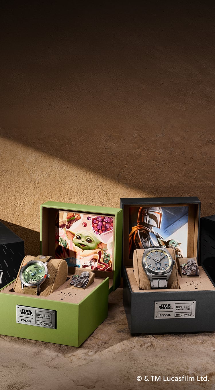 Collectors Club - Fossil
