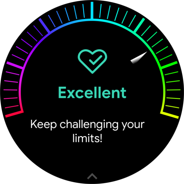 The colourful VO2 Max estimation dial that reads excellent.